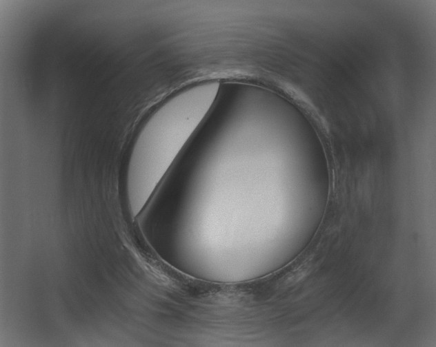X0000068310201200604211045