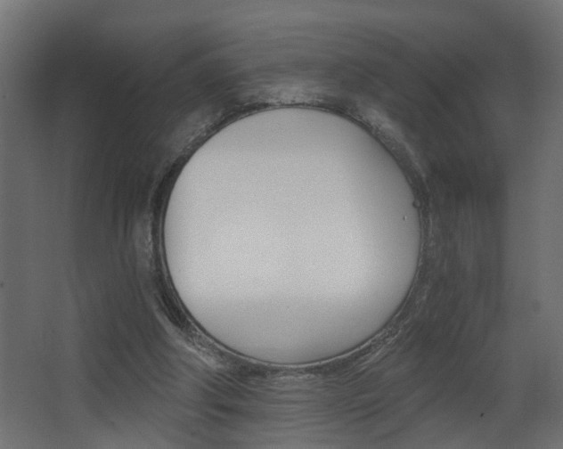 X0000068310202200604211045