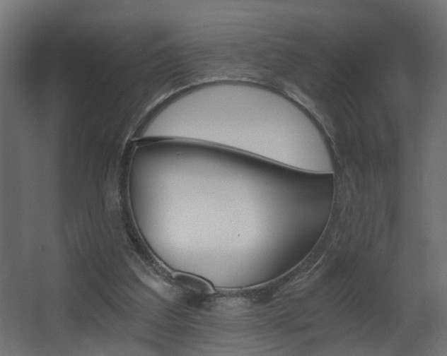 X0000068310203200604211045