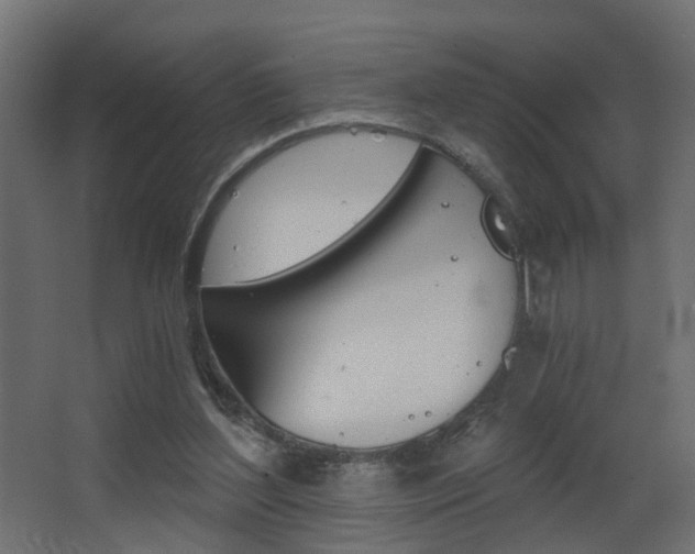 X0000068310204200604211045