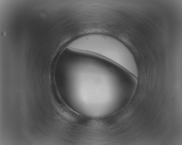 X0000068310207200604211045