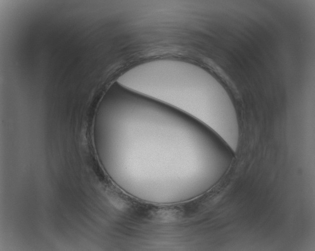 X0000068310209200604211045