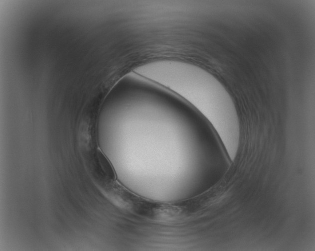 X0000068310215200604211045