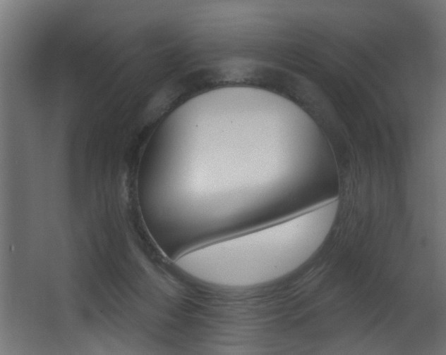 X0000068310216200604211045