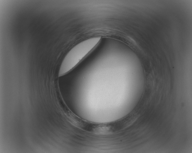X0000068310217200604211045