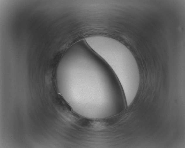 X0000068310221200604211045