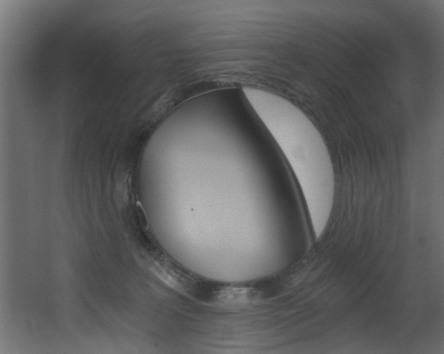 X0000068310227200604211045