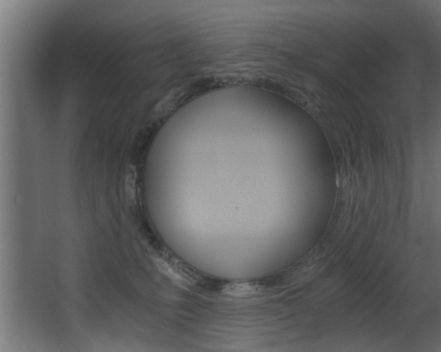 X0000068310231200604211045