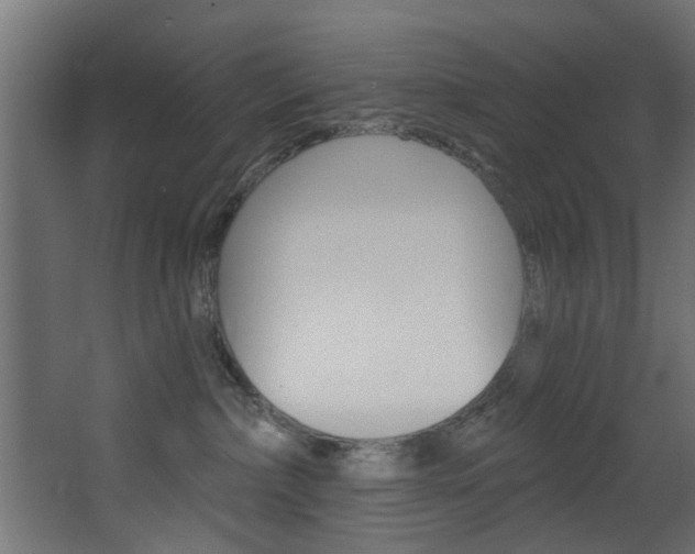 X0000068310236200604211045