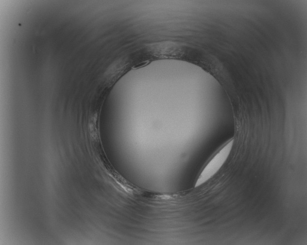 X0000068310239200604211044