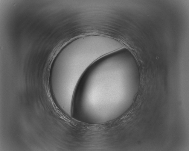 X0000068310241200604211044