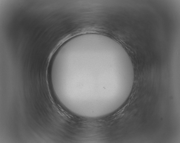 X0000068310244200604211044