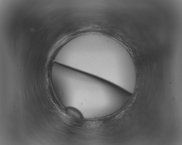 X0000068310245200604211044