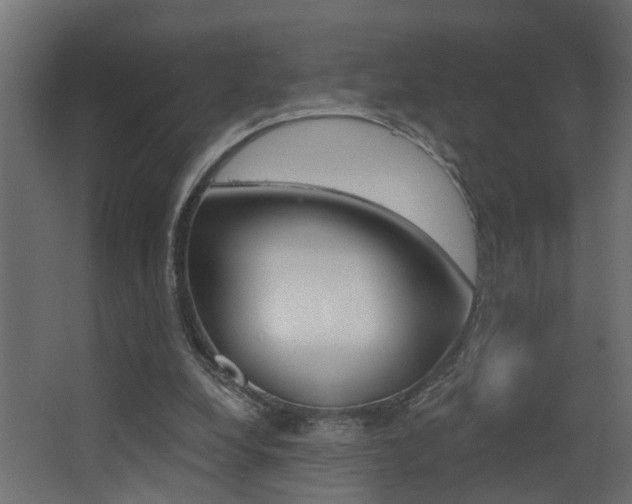 X0000068310248200604211044
