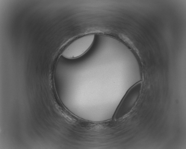 X0000068310249200604211044
