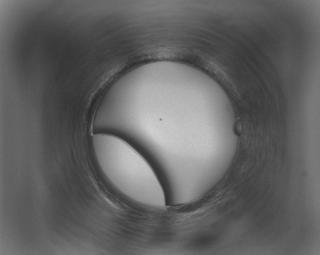 X0000068310251200604211044
