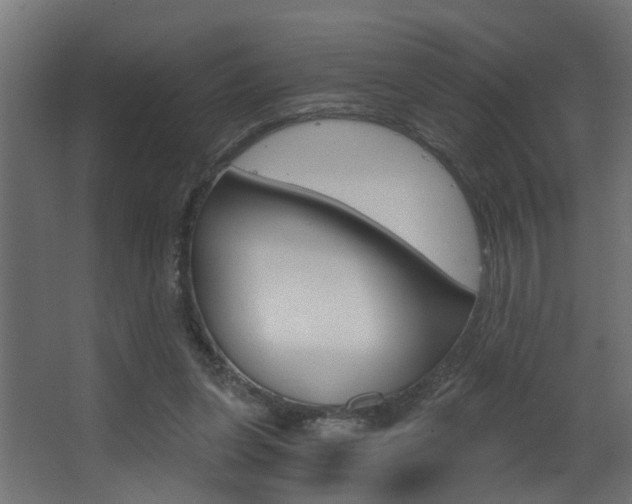 X0000068310255200604211044