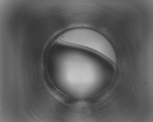 X0000068310256200604211044