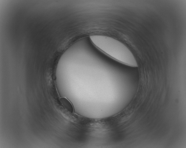X0000068310259200604211044