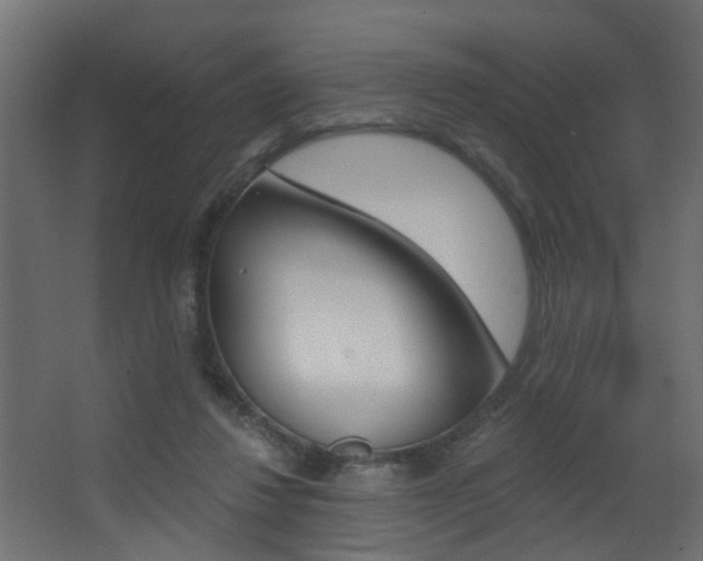 X0000068310260200604211044