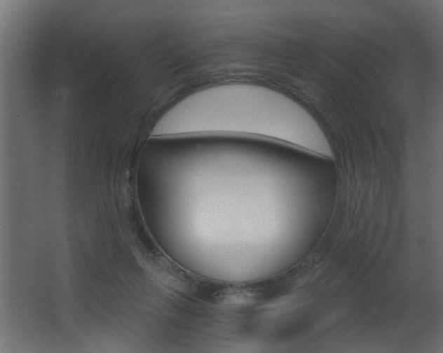 X0000068310263200604211044