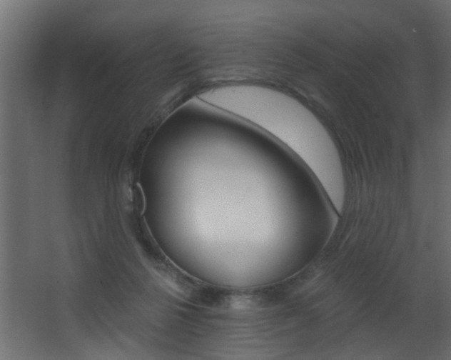 X0000068310264200604211044