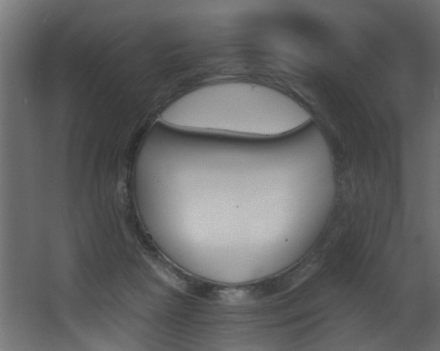 X0000068310265200604211044
