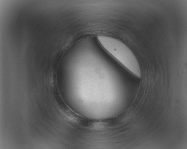 X0000068310268200604211044