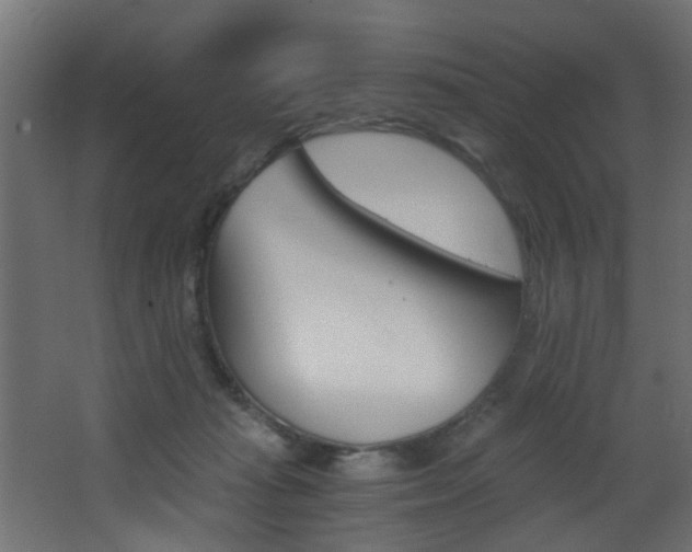 X0000068310269200604211044
