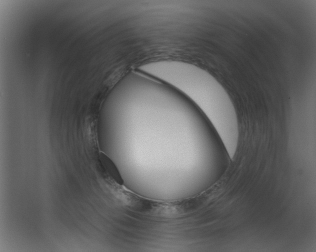 X0000068310276200604211044
