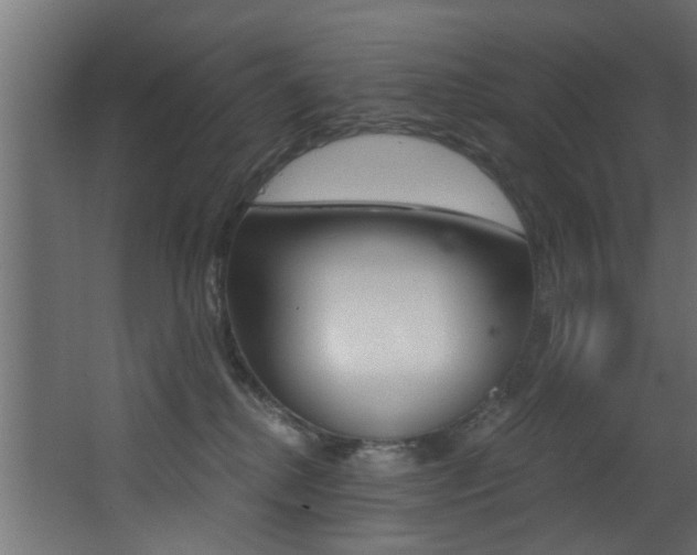 X0000068310280200604211044