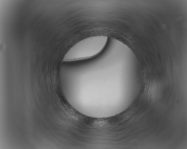 X0000068310283200604211044