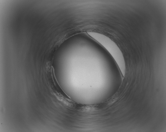 X0000068310284200604211044