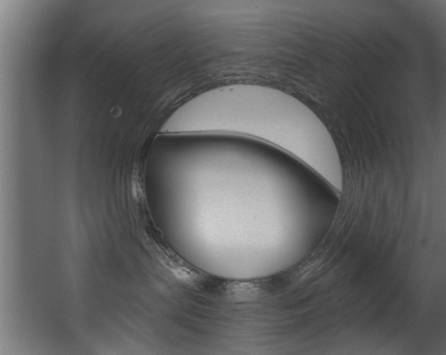 X0000068310287200604211044