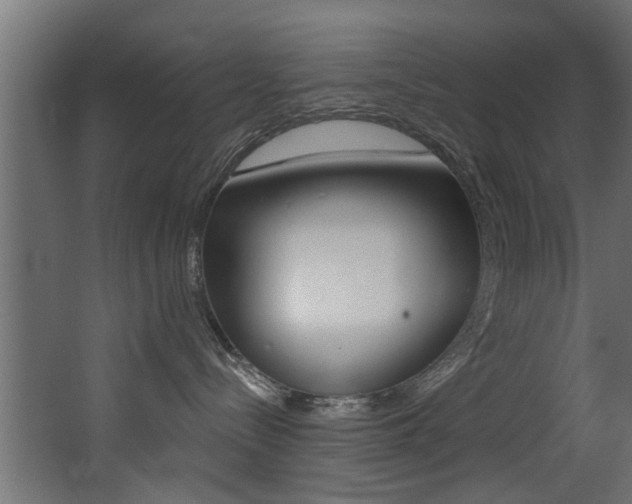 X0000068310288200604211044