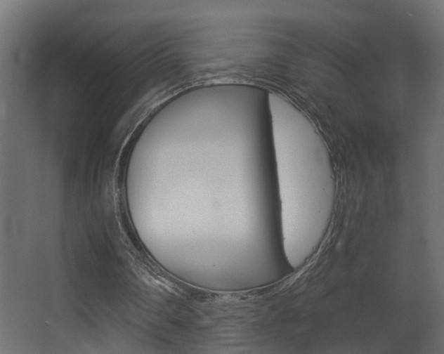 X0000068310290200604211044