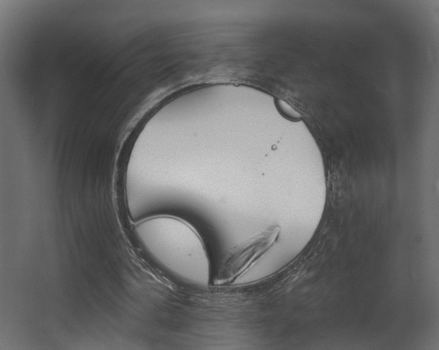 X0000068310292200604211044