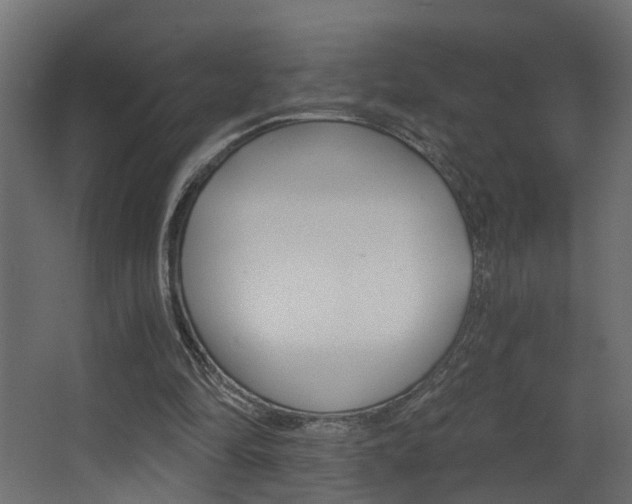 X0000068310294200604211044