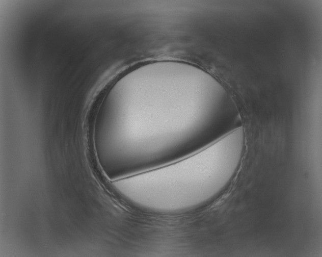 X0000068310295200604211044