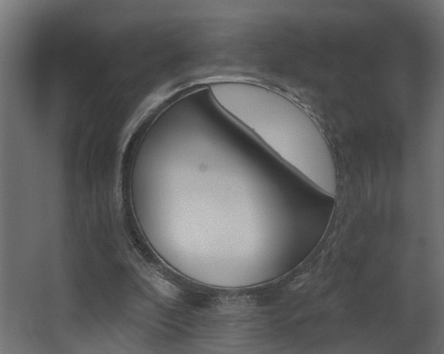 X0000068310296200604211044