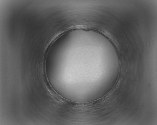 X0000068310297200604211044