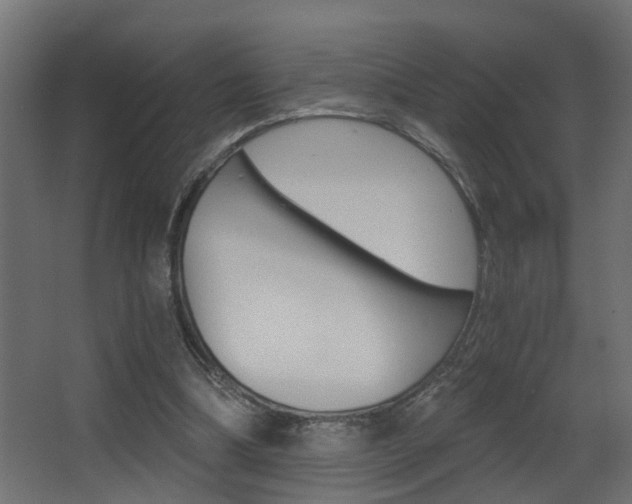 X0000068310298200604211043