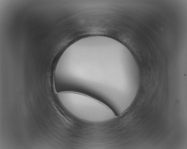 X0000068310299200604211043
