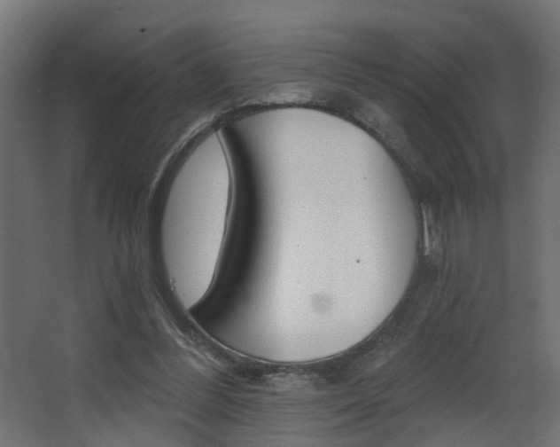 X0000068310300200604211043