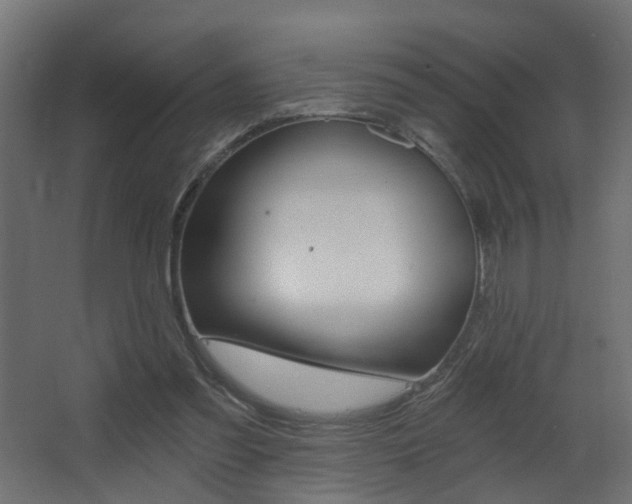 X0000068310301200604211043