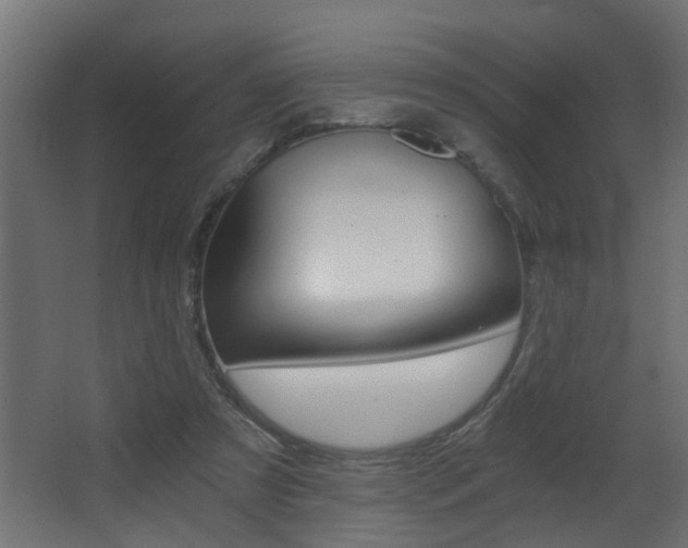 X0000068310305200604211043