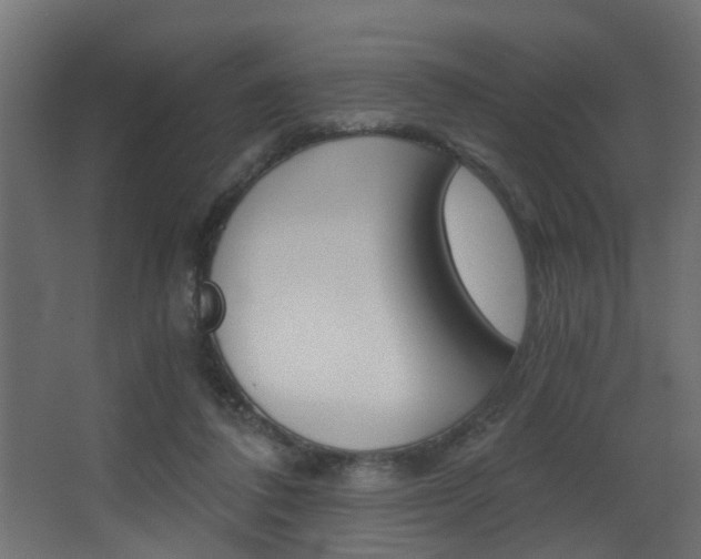X0000068310308200604211043