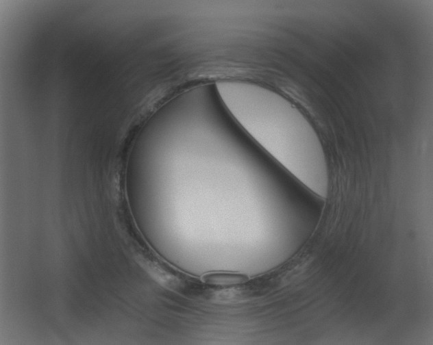 X0000068310309200604211043