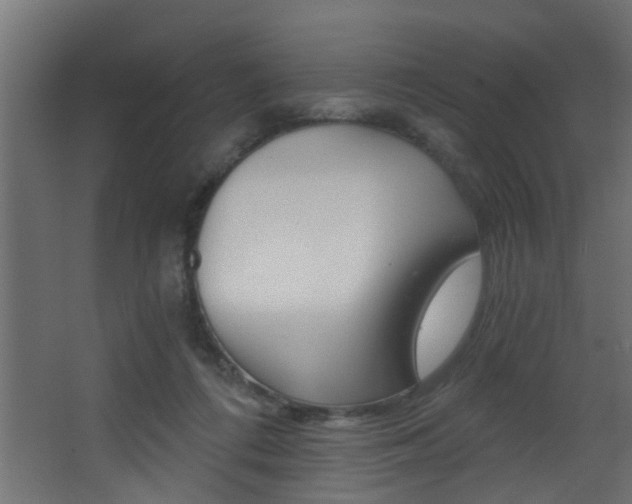 X0000068310312200604211043