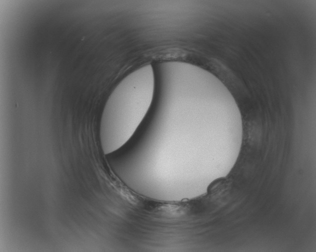 X0000068310326200604211043